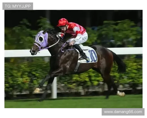 澳洲幸运5开奖结果最新公布，今日中奖号码查询